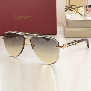 Cartier カルティエ サングラス 8色 男女 SGLS0269