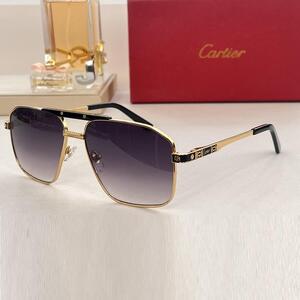Cartier カルティエ サングラス 6色 男 SGLS0279